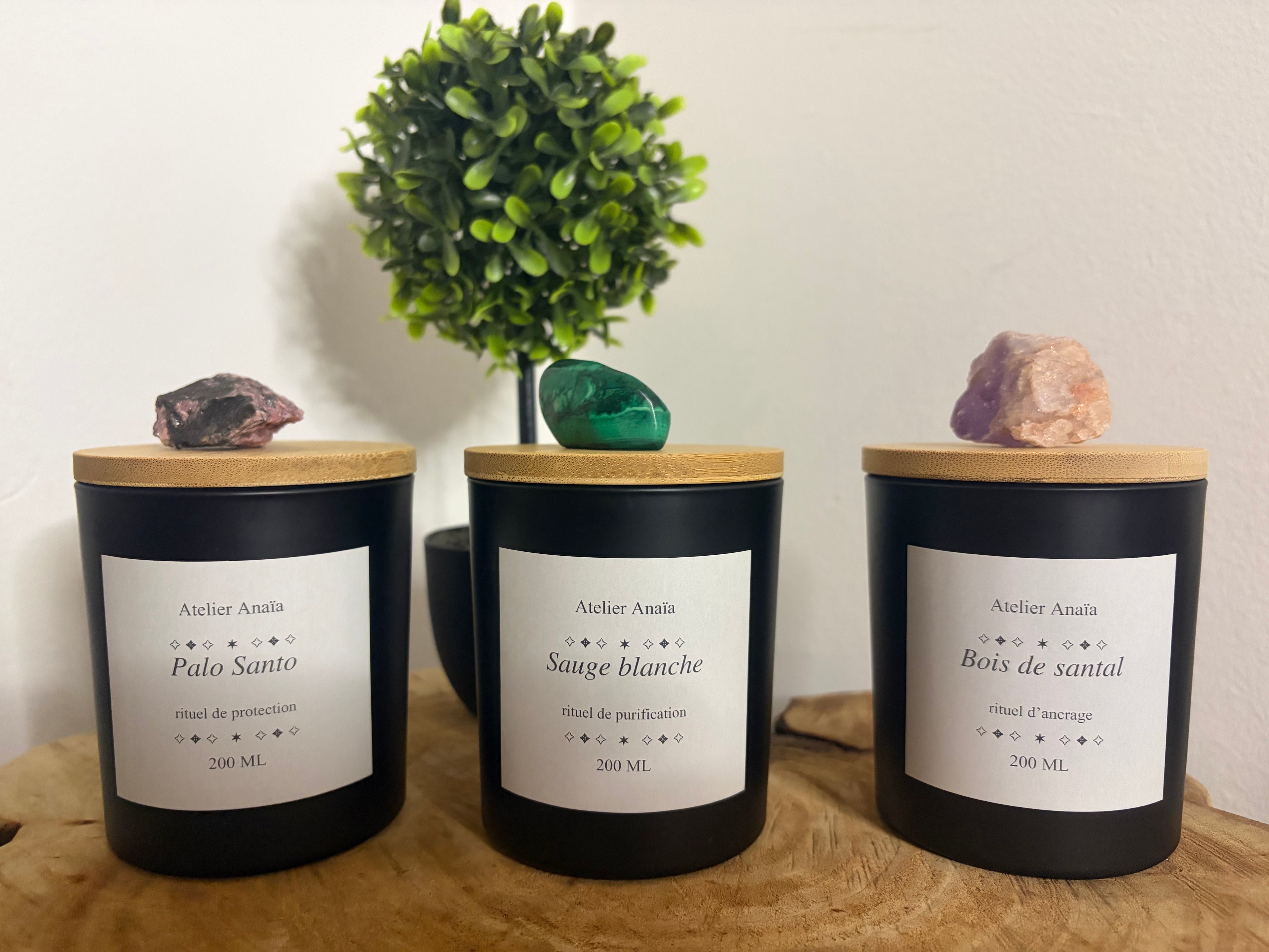 Collection Trio énergie